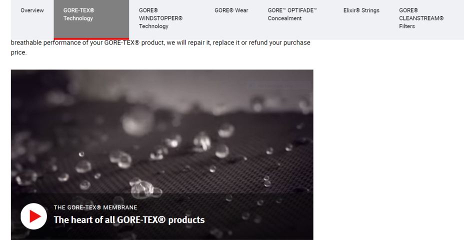 W.L Gore & Associates