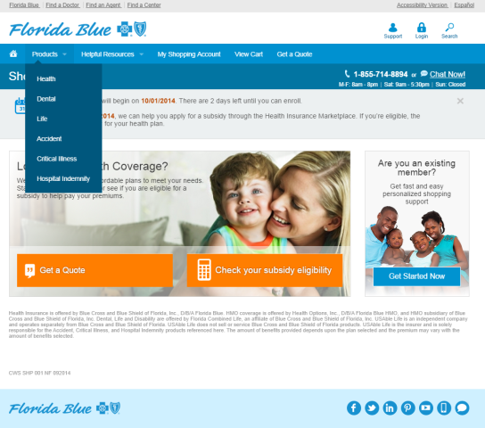 ConsumerWebsalesFloridablue - front page