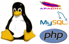Linux-Apache-MySQL-PHP logo